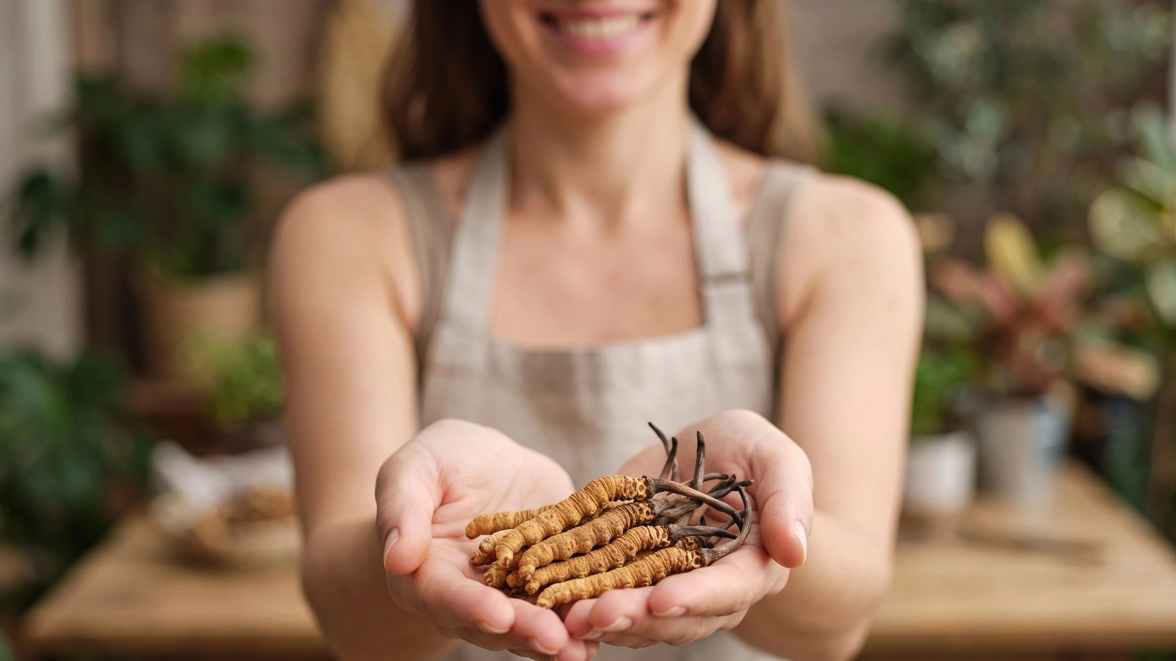 Le Cordyceps sinensis et son cycle de vie incroyable