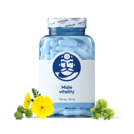 Vitalité masculine